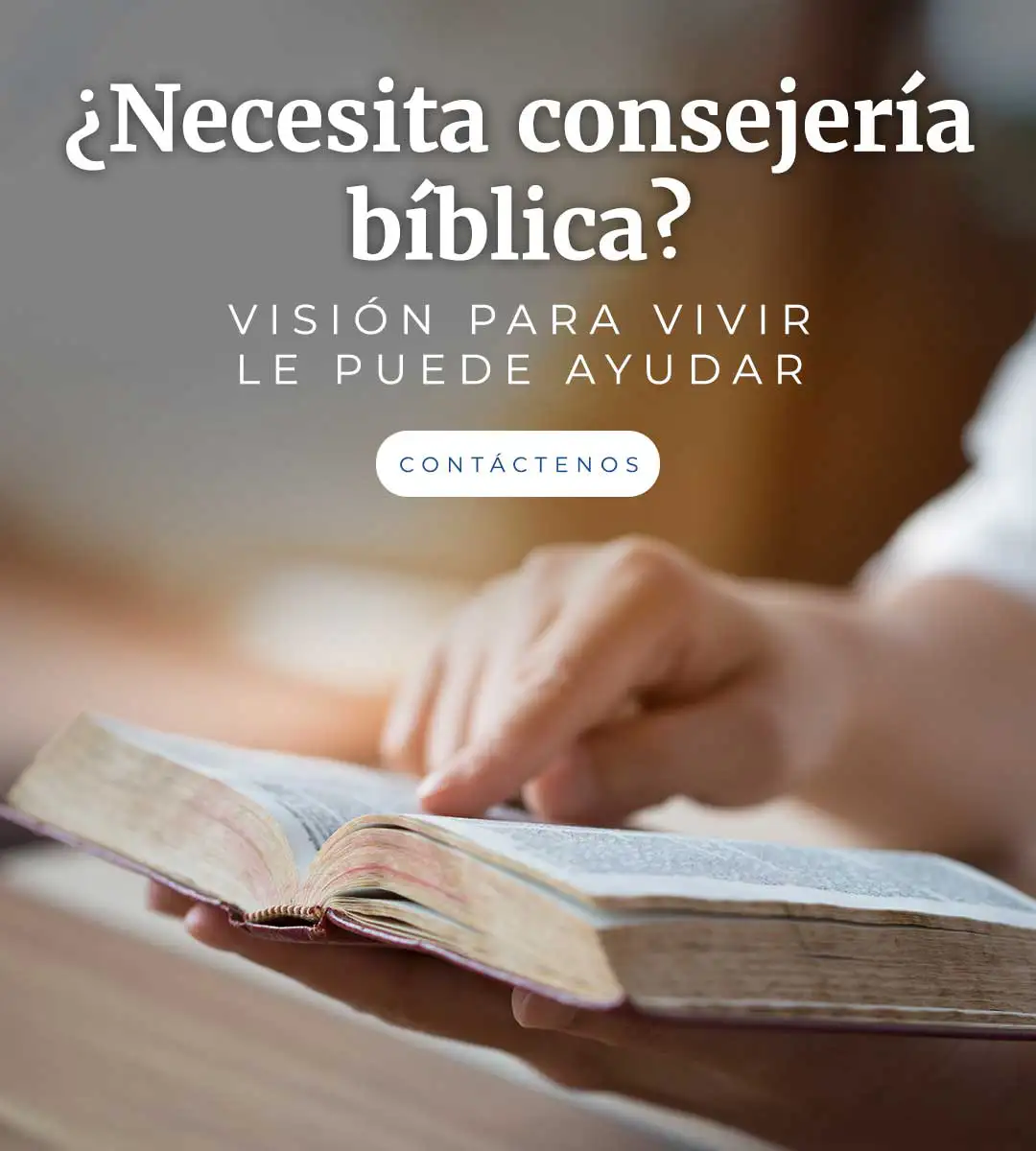 https://visionparavivir.org/consejeria/ Mobile