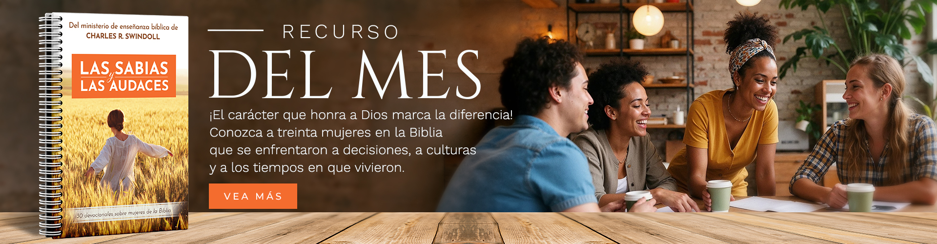 https://visionparavivir.org/libreria/las-sabias-y-las-audaces-pr/
