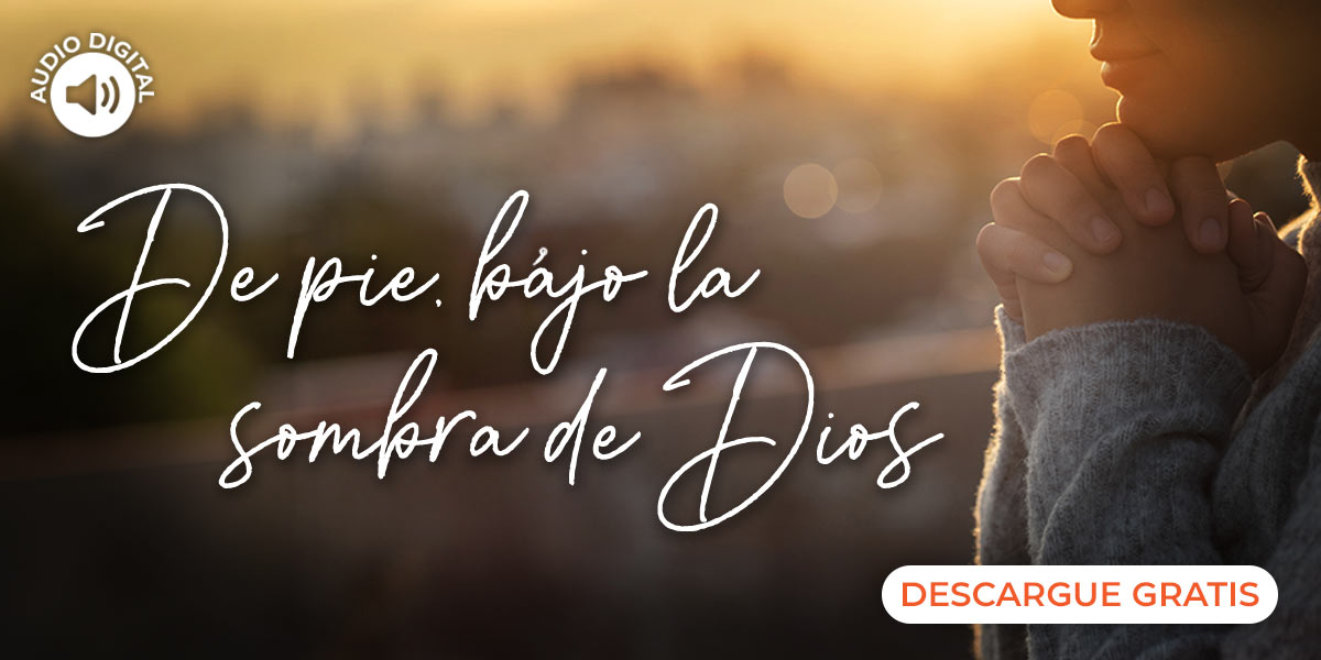 https://visionparavivir.org/libreria/de-pie-bajo-la-sombra-de-dios-fr/