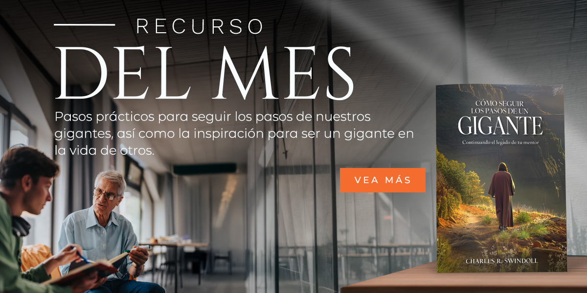  https://visionparavivir.org/libreria/como-seguir-los-pasos-de-un-gigante-pr/