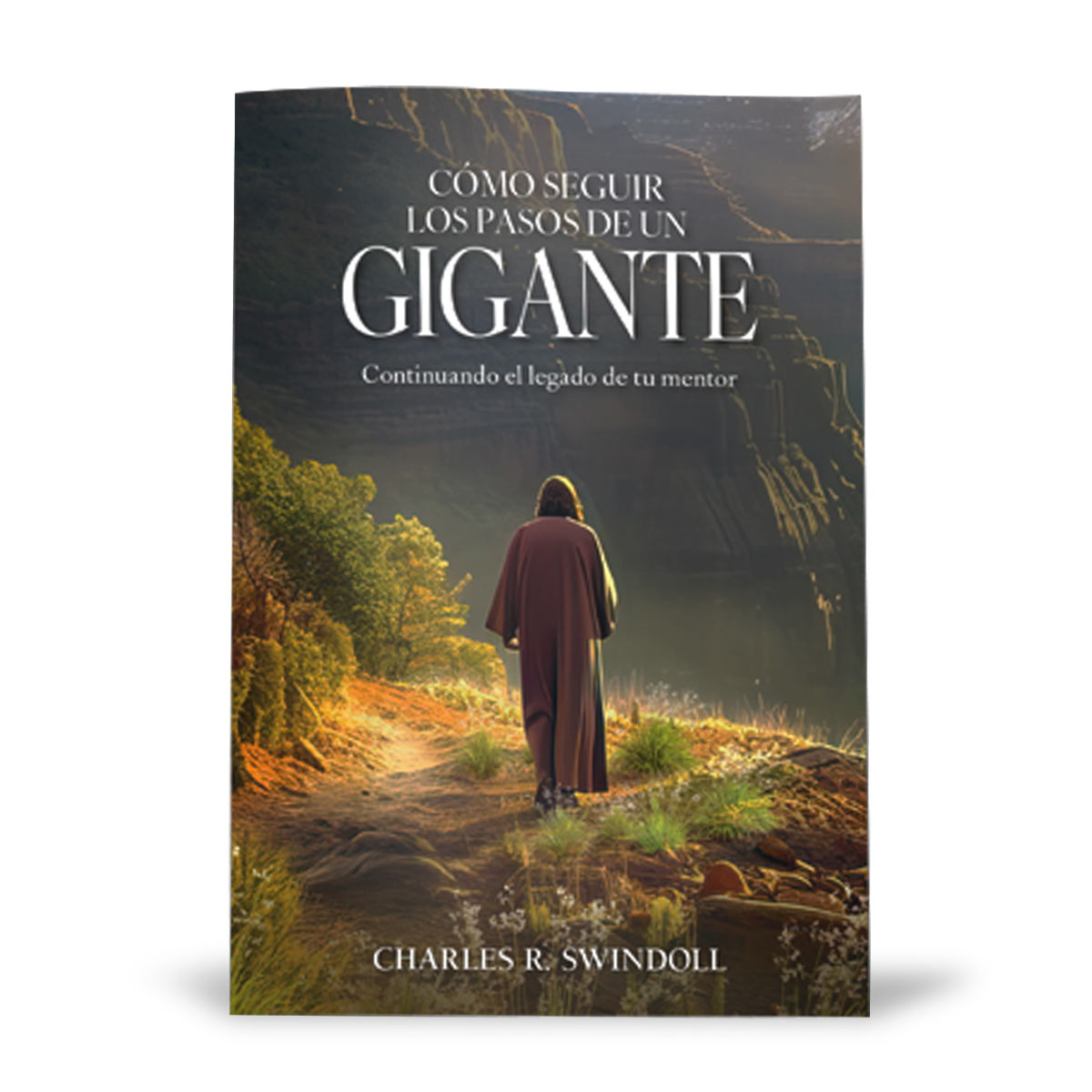 Cómo seguir los pasos de un gigante