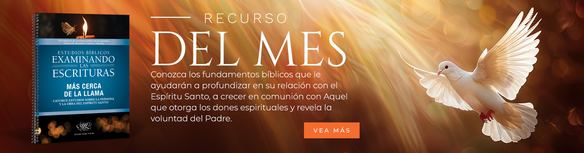 https://visionparavivir.org/libreria/examinando-las-escrituras-mas-cerca-de-la-llama-pr/
