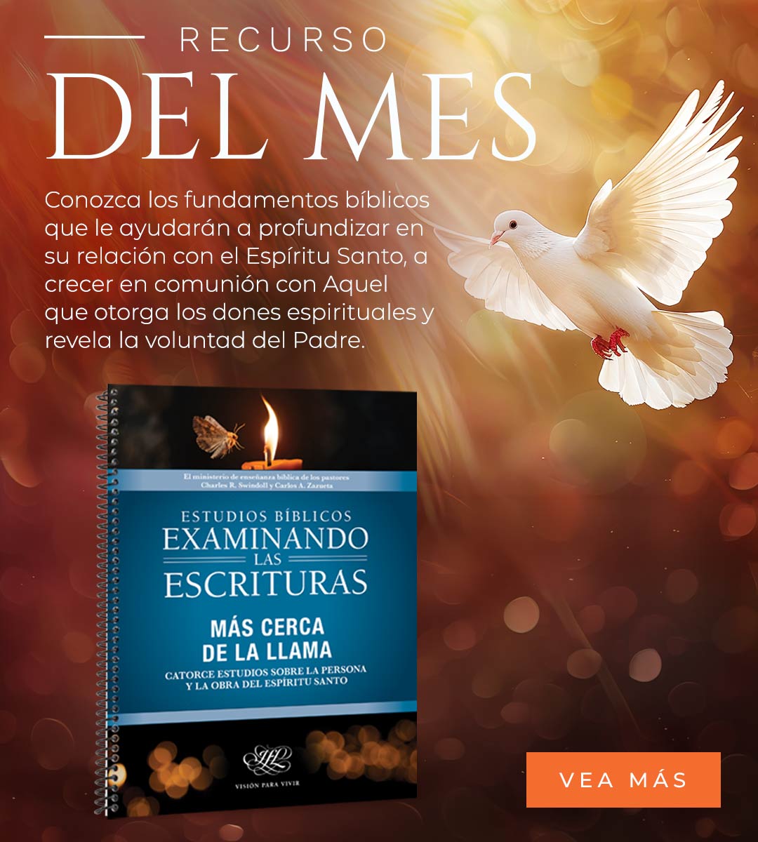 https://visionparavivir.org/libreria/examinando-las-escrituras-mas-cerca-de-la-llama-pr/ Mobile